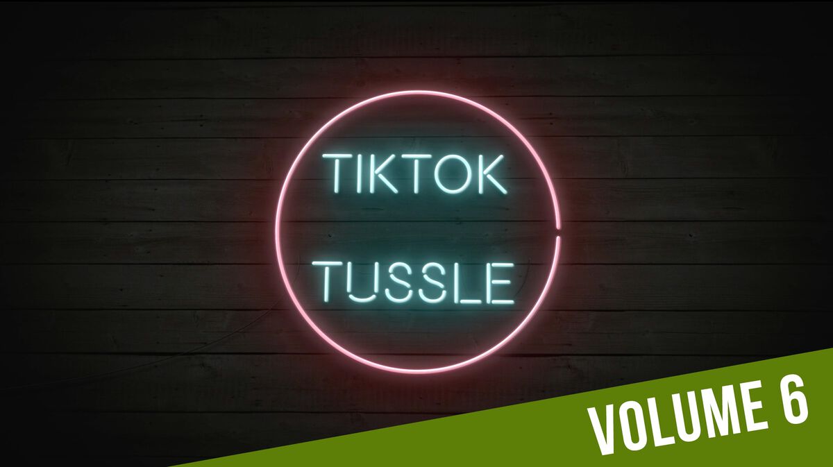 TikTok Tussle 6 image number null